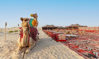 tourist enjoying dune bashing in ras al khaimah desert with beely dance show, bbq, tanoura show , fire show on Arabian Desert Safari Ras Al Khaimah