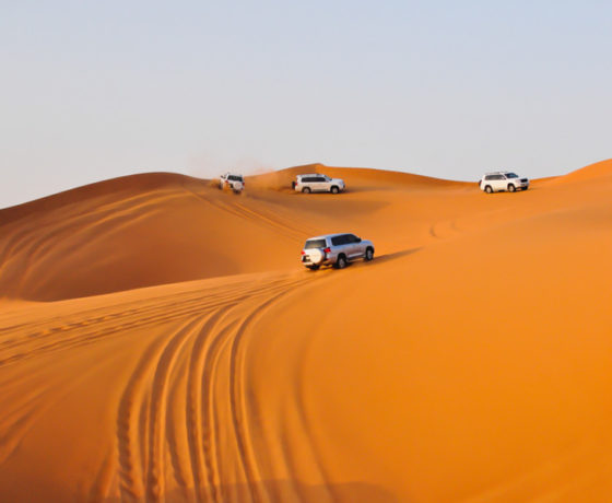 Morning Desert Safari Abu Dhabi
