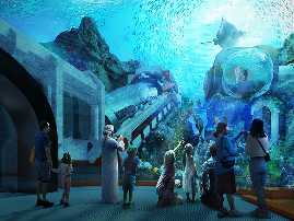 tourists from dubai enjoying aquarium at sea world abu dhabi, on abu dhabi city tour with sea world