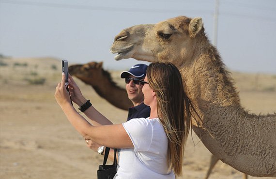 tourists in ras al khaimah desert enjoying camel rides, dune bashing, bbq dinner, live entertainment on a 4x4 jeep safari tour in ras al khaimah